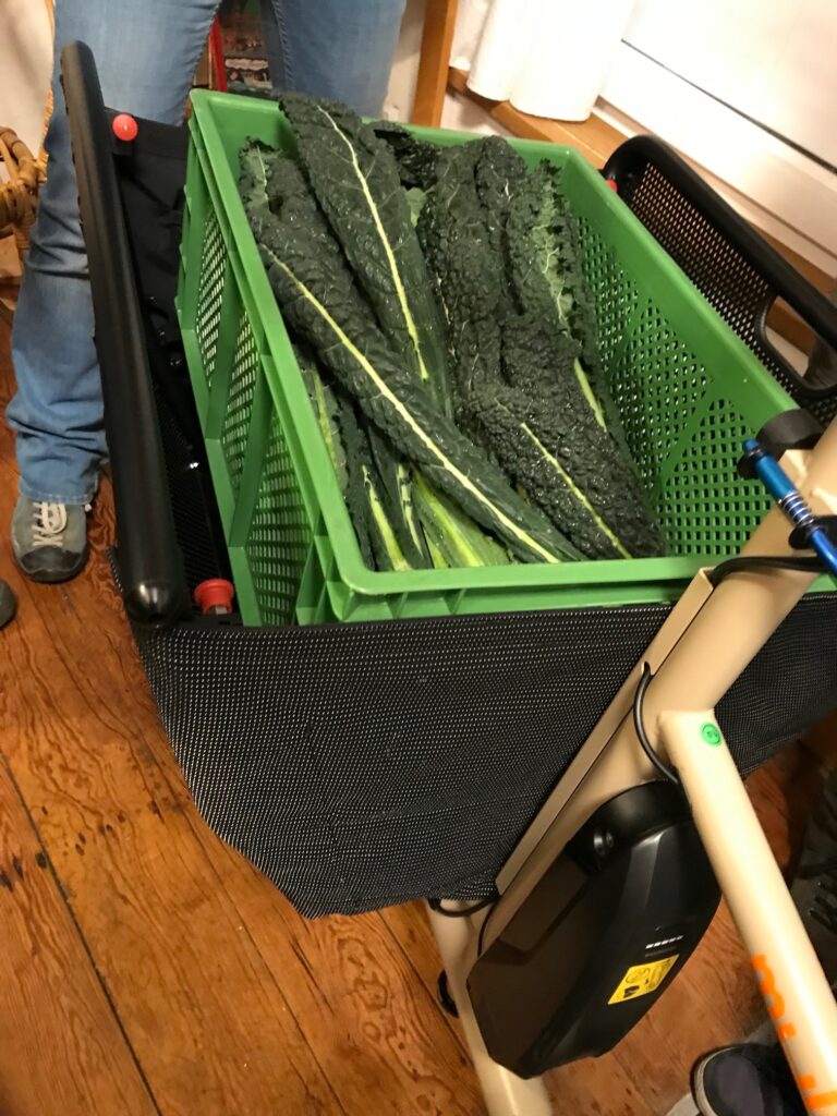 Gemüsekiste im Korb des Lastenrad